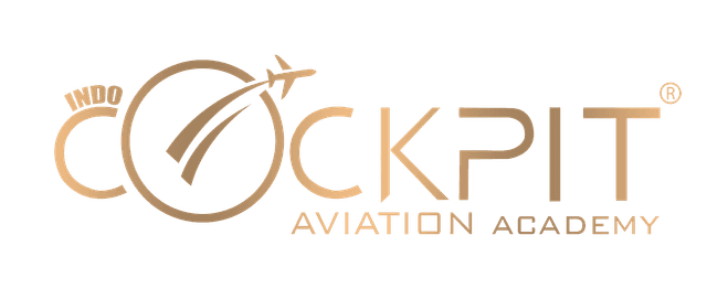 Indo Cockpit Aviation Academy logo